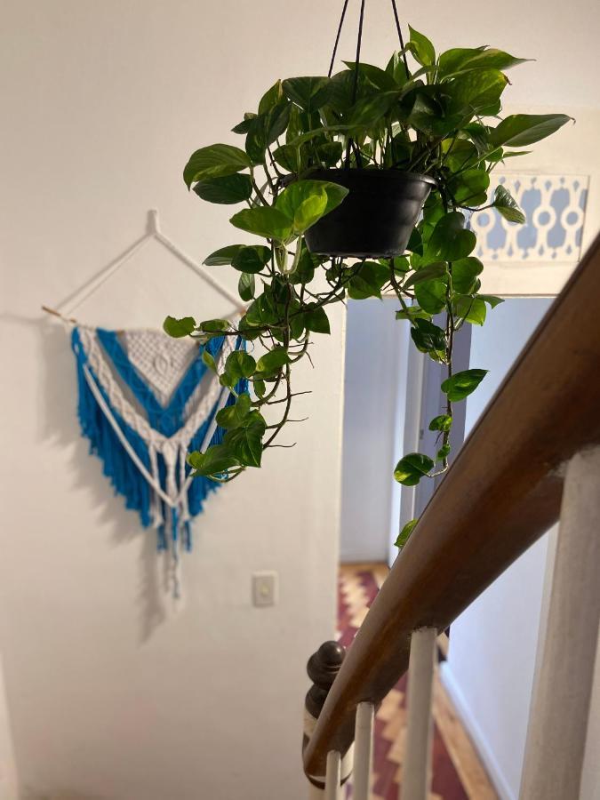 סלבאדור Sunflower Hostel מראה חיצוני תמונה